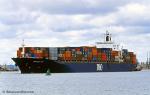 ID 699 MSC Dalton